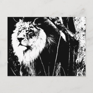 Carte Postale Noir Blanc moderne Pop Art Modèle Animal Lion