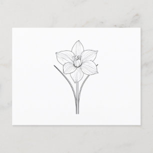 Carte Postale Noir blanc Narcissus Line Art
