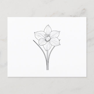 Carte Postale Noir blanc Narcissus Line Art