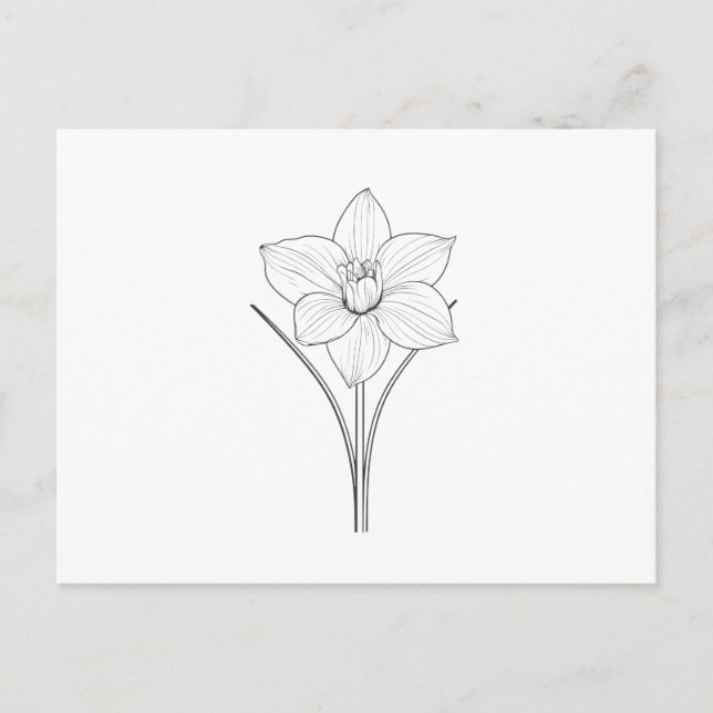 Carte Postale Noir blanc Narcissus Line Art (Devant)