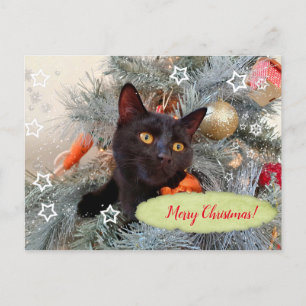 Carte Postale Noir Chat Joyeux Noël