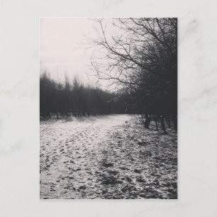 Carte Postale Noir et blanc congelé