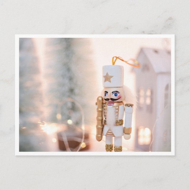 Carte Postale Noisette de Noël en hiver (Devant)