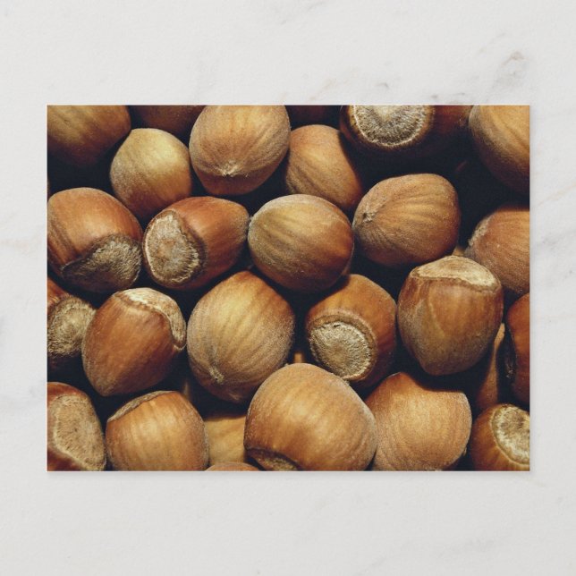 Carte Postale Noisette sauvage (Devant)