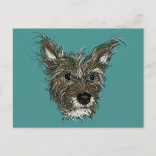 Carte Postale noisettes