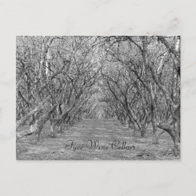 Carte Postale Noisettes de type (Devant)