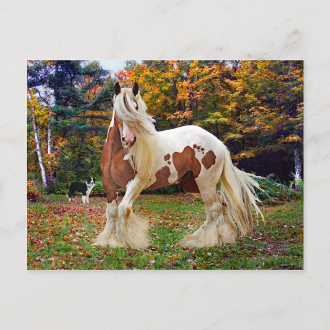 Carte Postale "Nokomis" (Devant)