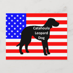 Carte Postale nom de la silhouette de catahoula sur le drapeau u