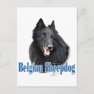 Carte Postale Nom du chien de berge belge