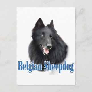 Carte Postale Nom du chien de berge belge