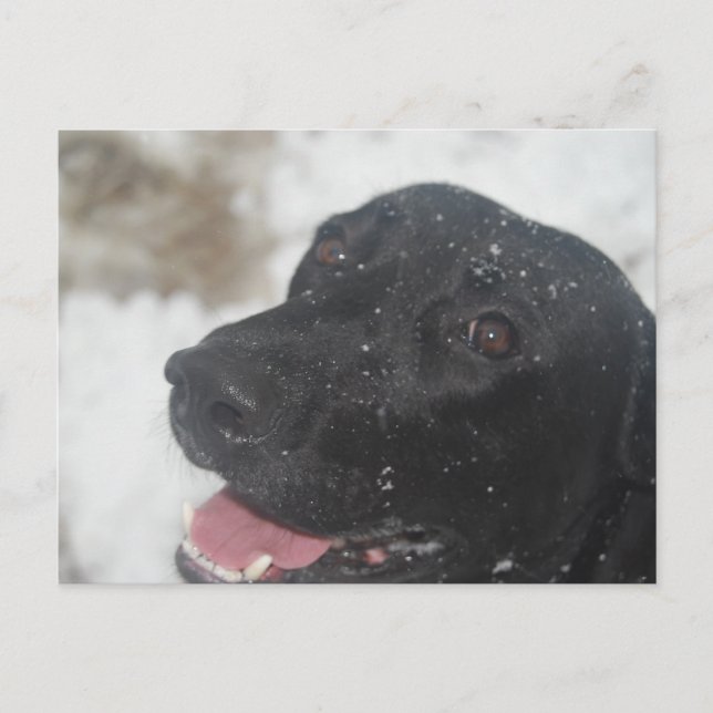 Carte Postale non défini (Devant)