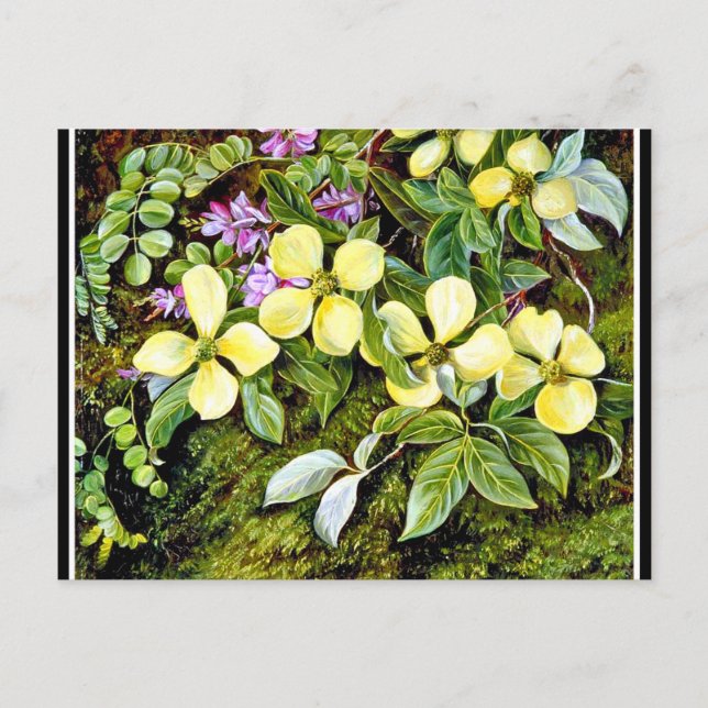 Carte Postale Nord - Fleurs d'un Dogwood et d'un Indigo (Devant)
