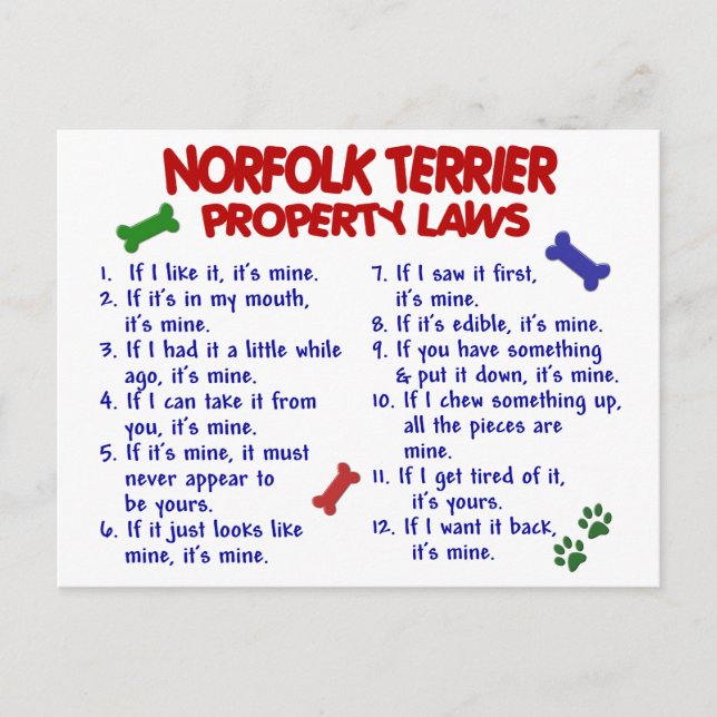 Carte Postale NORFOLK TERRIER Lois sur la propriété 2 (Devant)