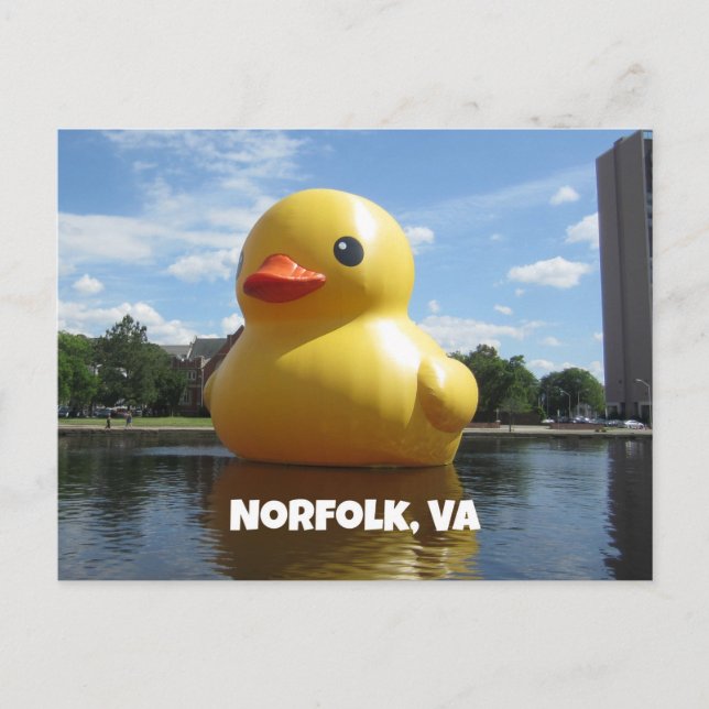 Carte Postale Norfolk, Virginie (Canard) (Devant)