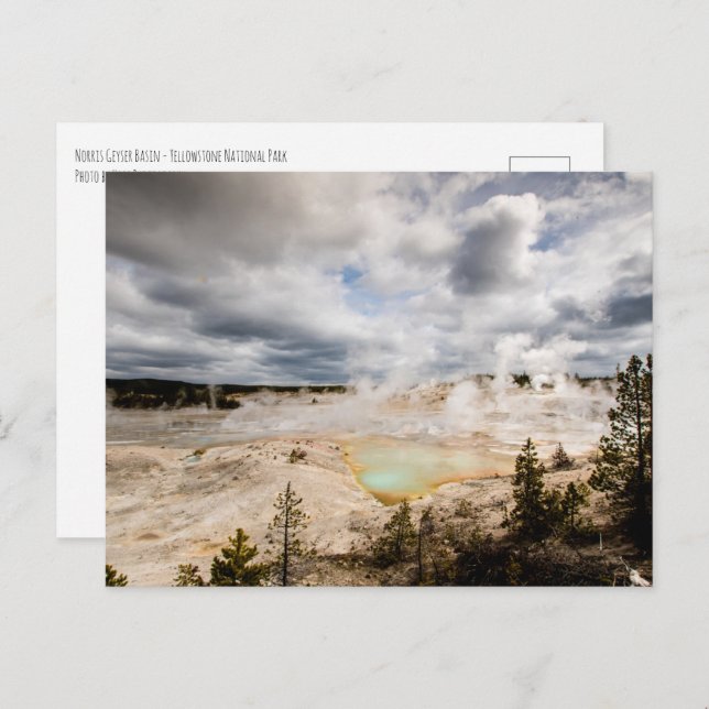 Carte Postale Norris Geyser Basin Yellowstone (Devant / Derrière)
