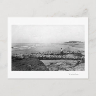 Carte Postale North Beach, WA Plage du pont de pied naturel
