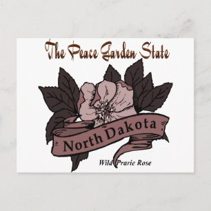 Carte Postale North Dakota Peace Garden State Rose