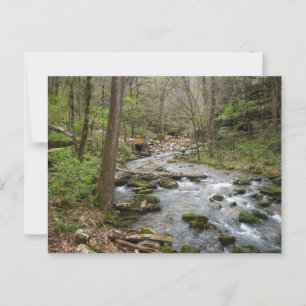 Carte Postale North Sylamore Creek