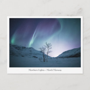 Carte postale Northern Lights