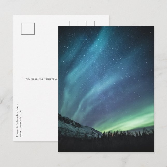 Carte Postale Northern Lights Nature Photo (Devant / Derrière)