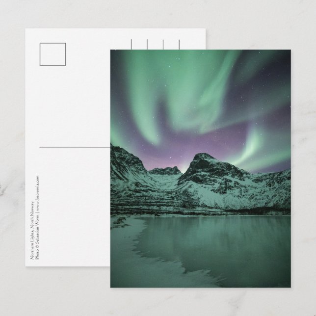 Carte Postale Northern Lights Nature Photo (Devant / Derrière)