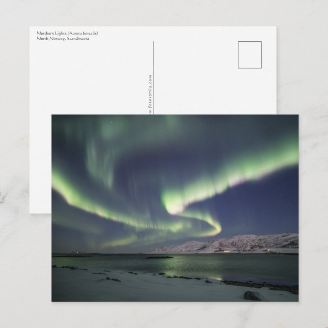 Carte Postale Northern Lights Norvège (Devant / Derrière)