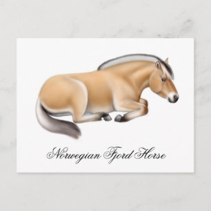 Carte postale norvégienne Fjord Horse