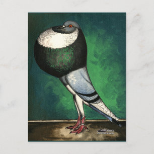 Carte Postale Norwich Cropper Blue Pied