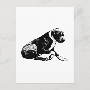 Carte Postale Note cristalline de paix