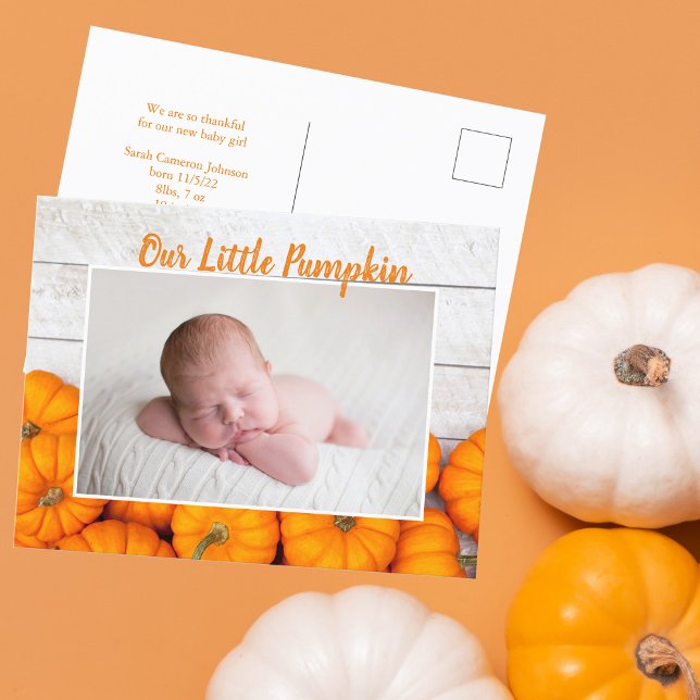 Carte Postale Notre Petit Citrouille Thanksgiving Photo Nouveau- (Créateur téléchargé)
