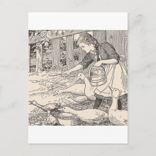 Carte Postale Nourrir Les Canards (Devant)