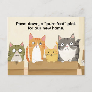 Carte Postale Nous avons déplacé des chats amusants Nouveau Fair