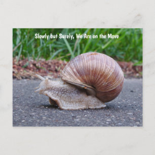 Carte Postale Nous sommes en train de tourner le long de la cart