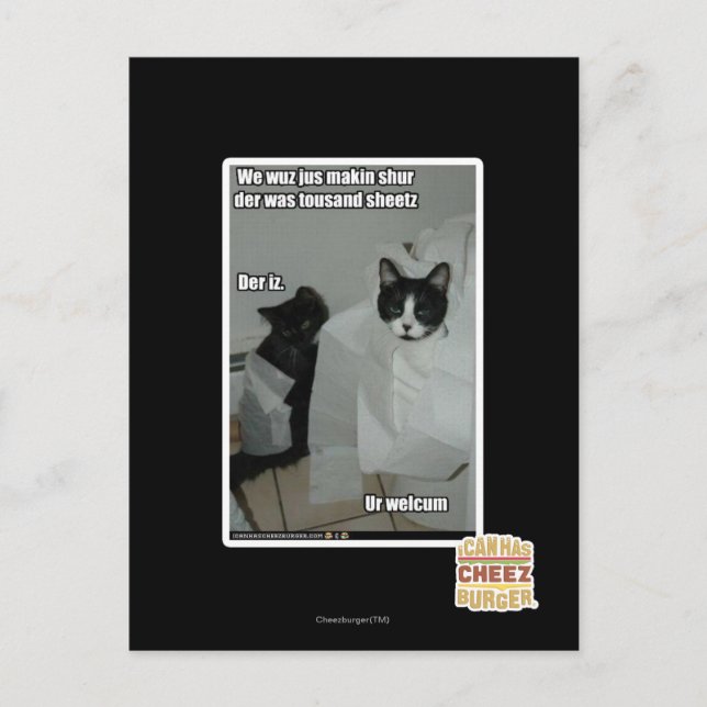 Carte Postale Nous voulons juste makin sur (Devant)