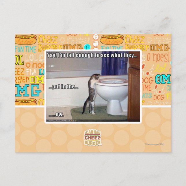 Carte Postale nouveau (Devant)