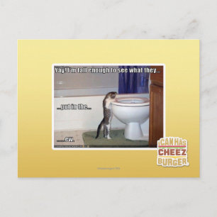 Carte Postale nouveau