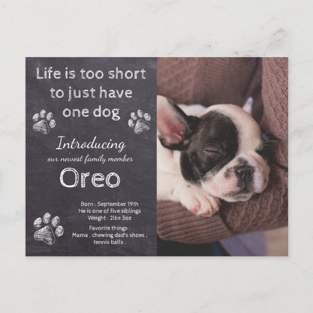 Carte Postale Nouveau Chien - Chien Photo Chalkboard Faire-part  (Devant)