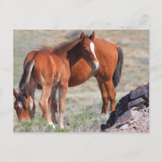 Carte Postale Nouveau départ