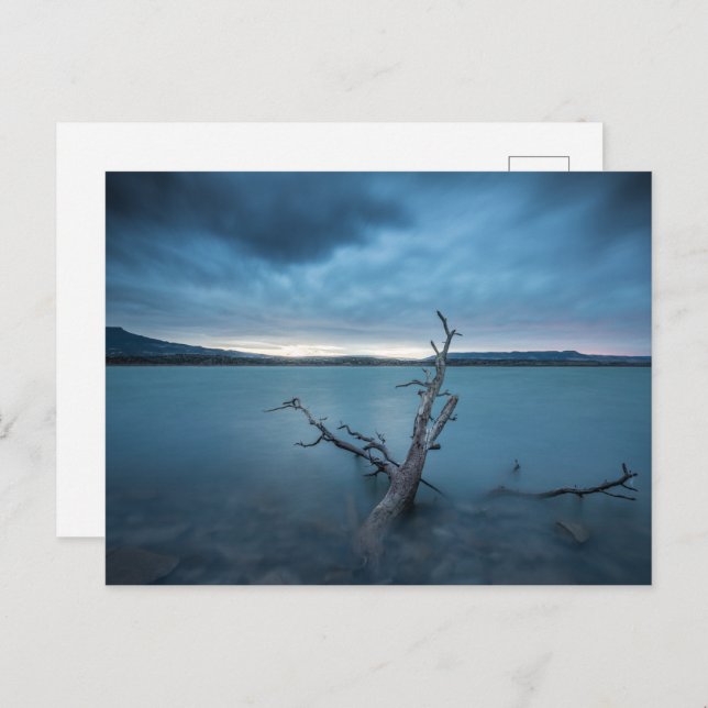 Carte Postale Nouveau-Mexique (Devant / Derrière)