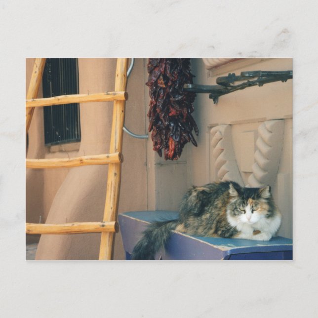 Carte Postale Nouveau-Mexique (Devant)