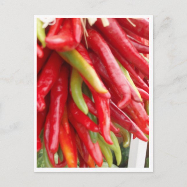 Carte Postale Nouveau Mexique Red Chili (Devant)