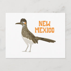 Carte Postale Nouveau-Mexique Roadrunner