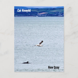 Carte Postale Nouveau quai / Cei Newydd
