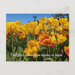 Carte Postale Nouveaux débuts Fleurs de tulipes jaunes printaniè
