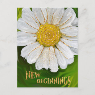 Carte Postale Nouveaux débuts - Puissance de fleur marguerite