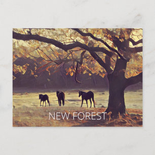 Carte Postale Nouveaux Ponts Forestiers