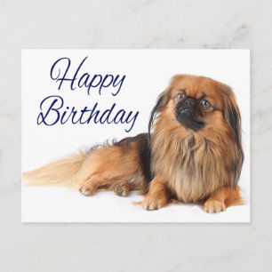 Carte Postale Nouvel anniversaire de l'Amoureux des chiens Pekin
