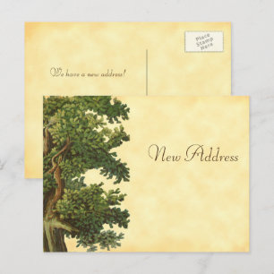 Carte postale nouvelle adresse - arbre de chêne Vi