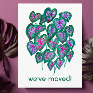 Carte Postale NOUVELLE ADRESSE DE RÉSIDENCE Feuilles de Caladium
