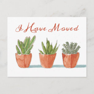 Carte Postale Nouvelle adresse   J'Ai Déménagé Aquarelle Cactus